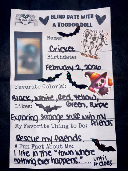 Blind Date with a Voodoo Doll