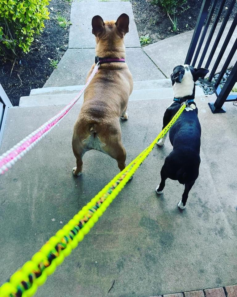 Large Dog Leash