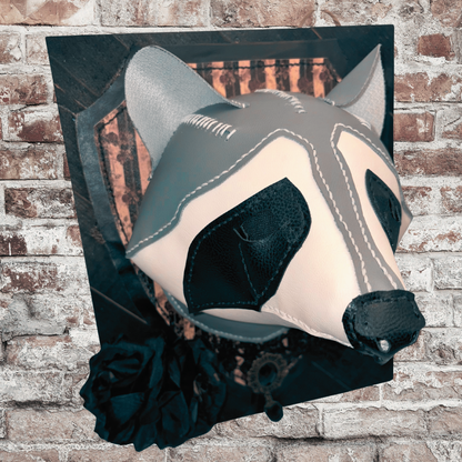 Raccoon Head Plaque