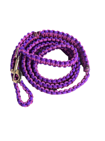 Large Dog Leash