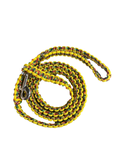 Large Dog Leash