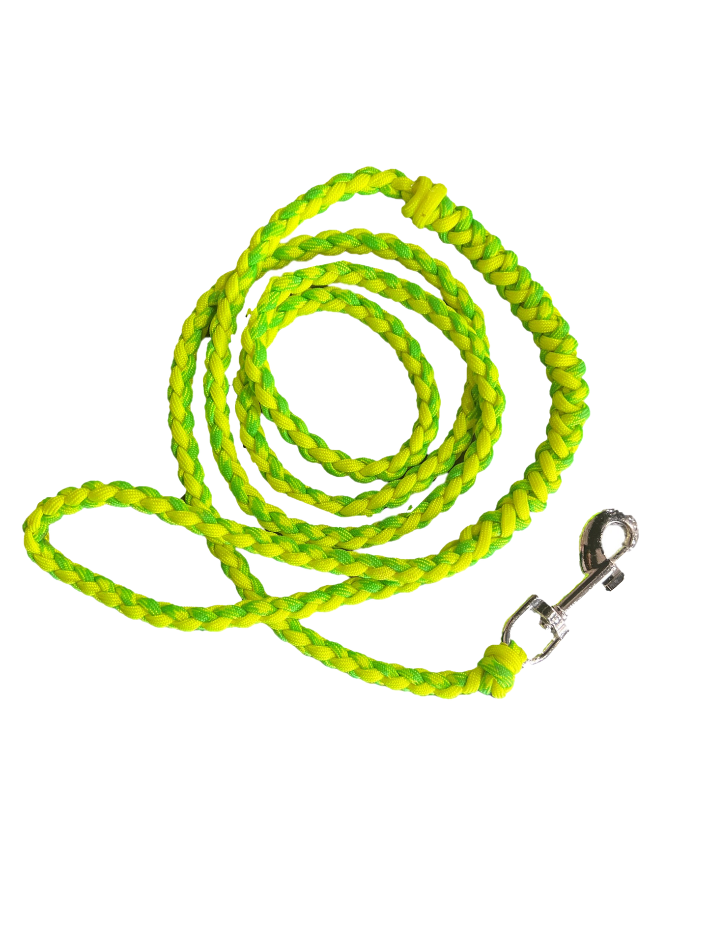 Small Dog Leash