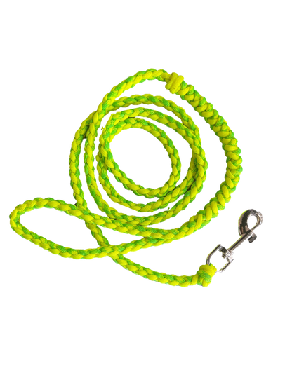 Small Dog Leash