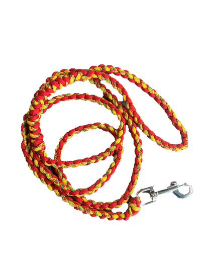 Small Dog Leash