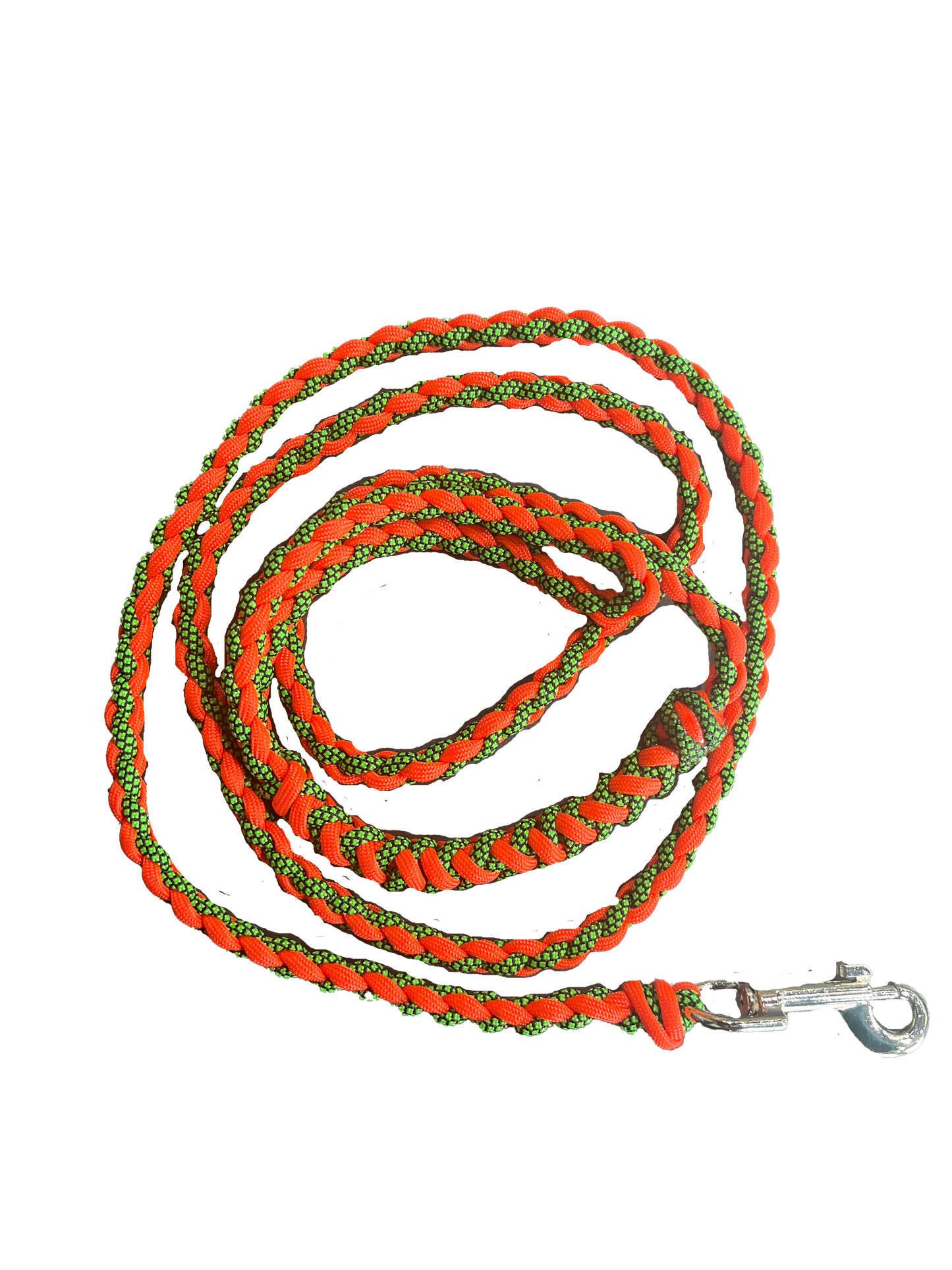Small Dog Leash