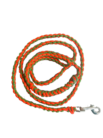 Small Dog Leash