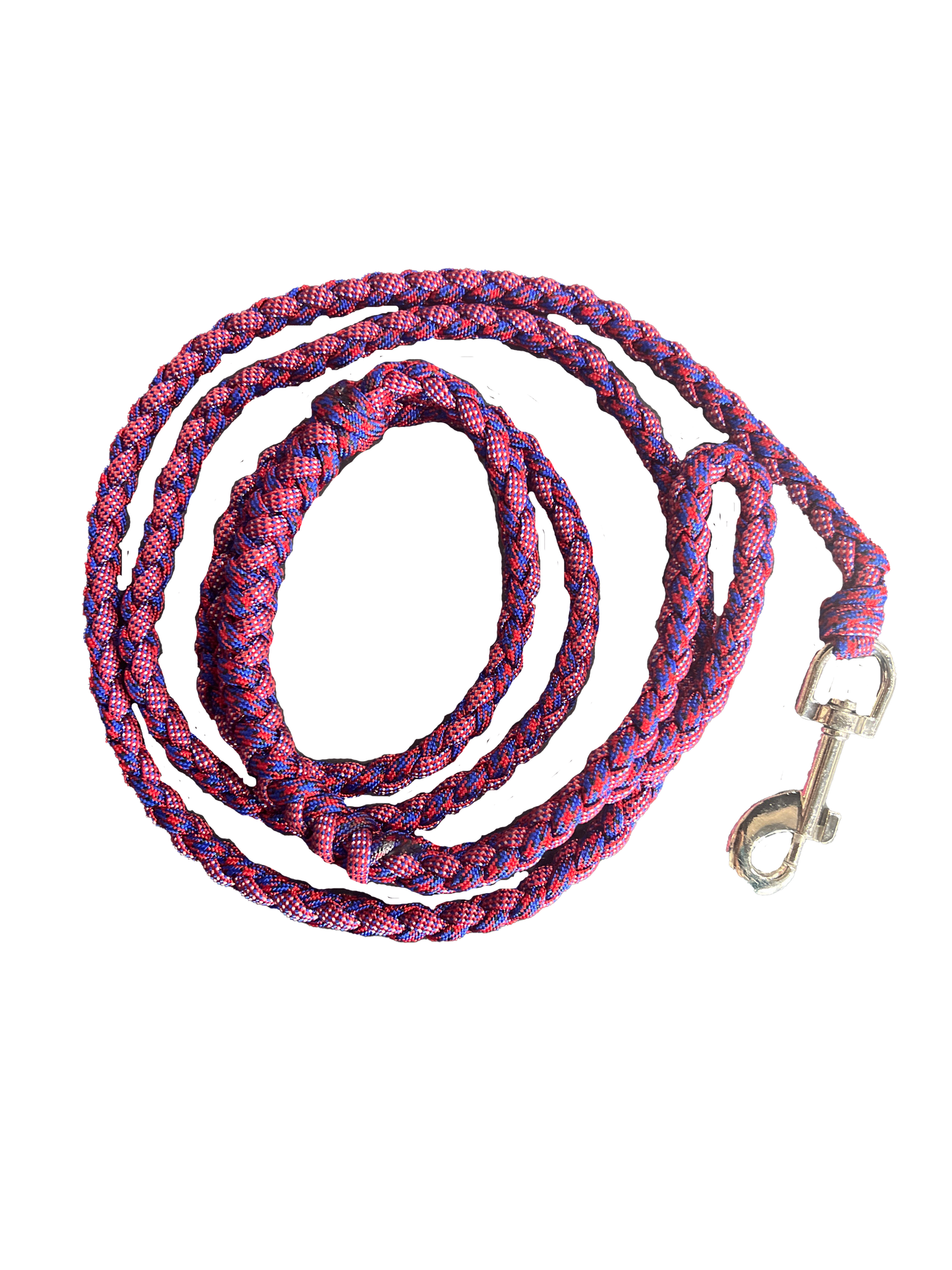 Small Dog Leash