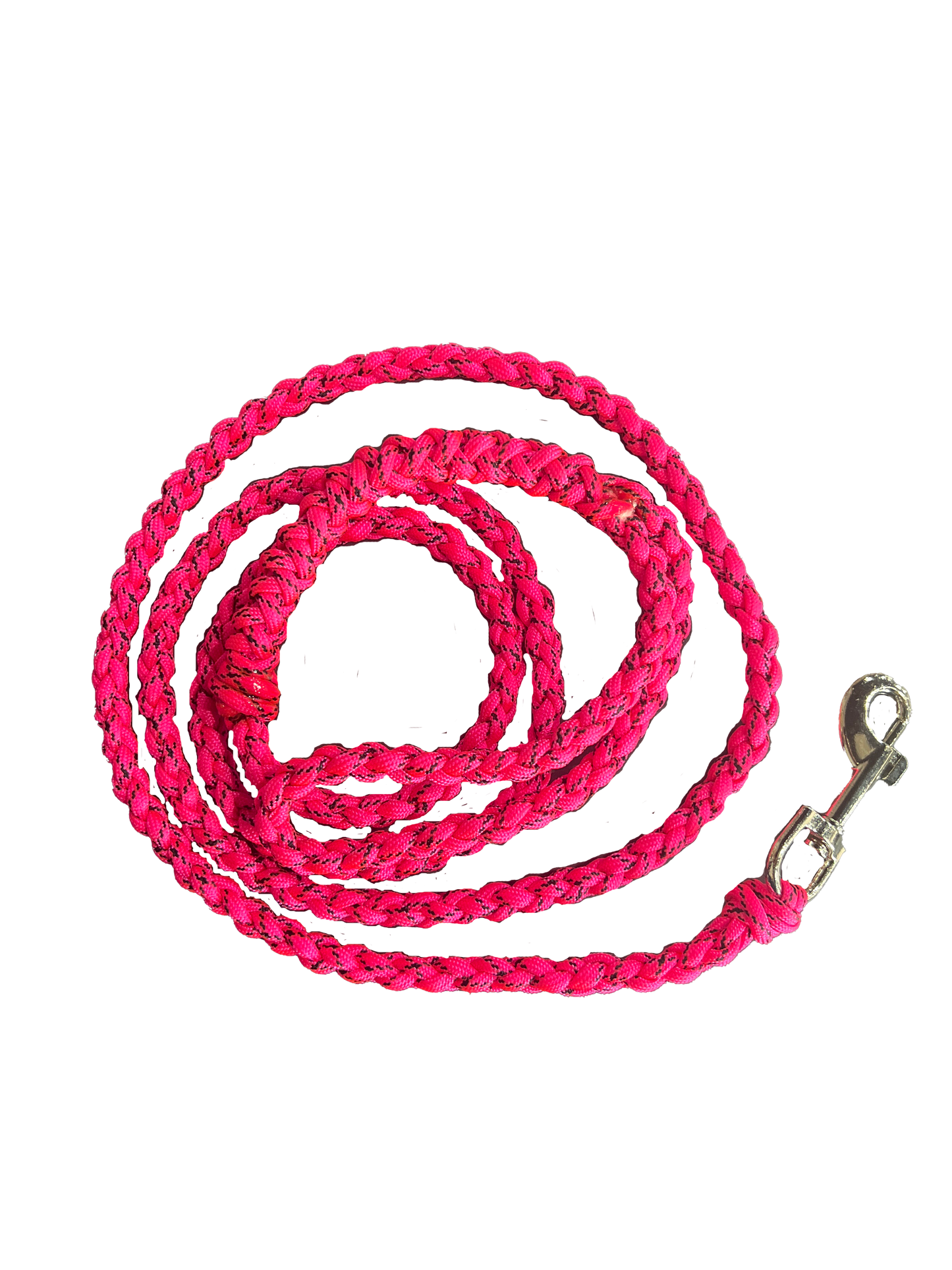 Small Dog Leash