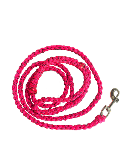 Small Dog Leash